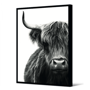 Canvas buffel