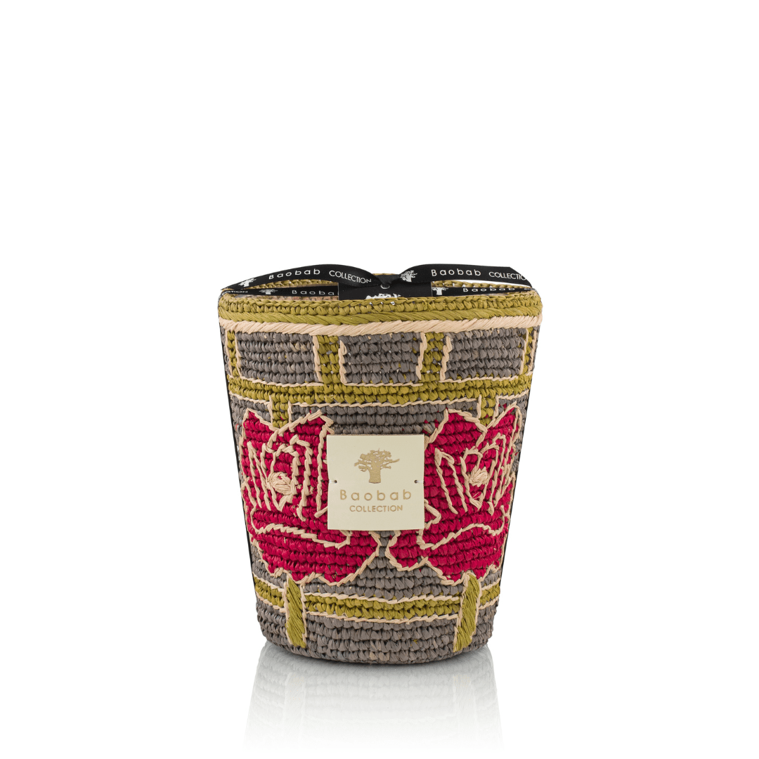 Baobab Frida Draozy Carmen MAX 16