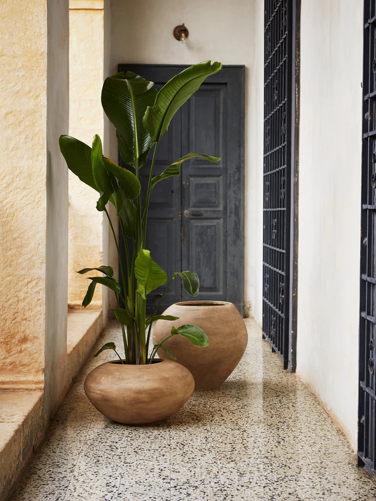 Dodu Low - Afbeelding 2