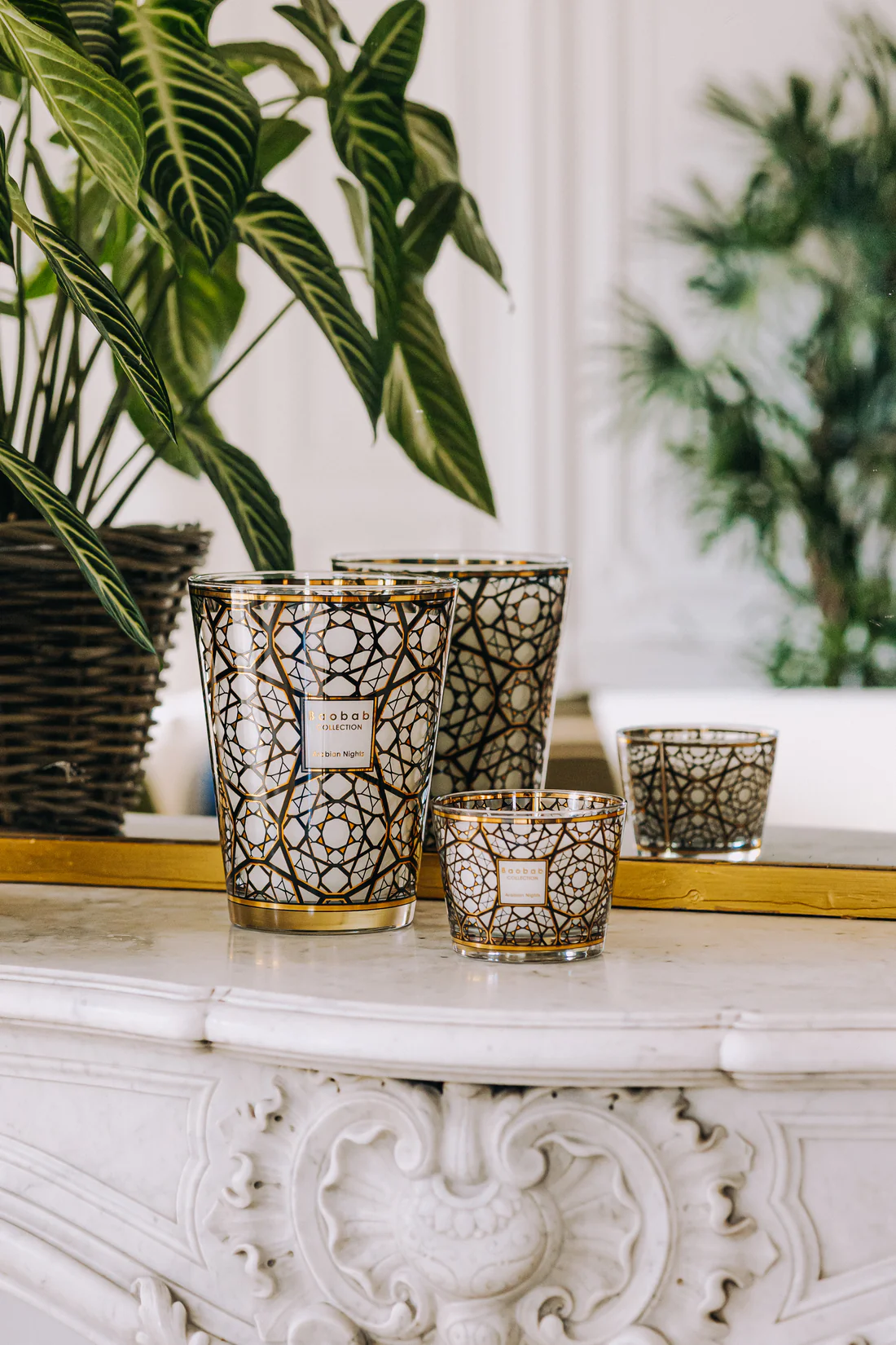 Baobab Arabian Nights Max 10 - Afbeelding 2