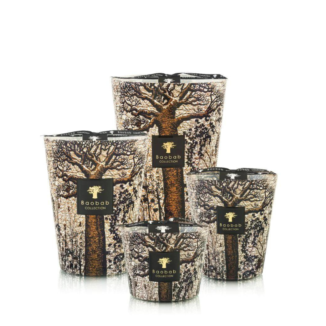 Baobab Sacred trees Morando Max 16 - Afbeelding 3