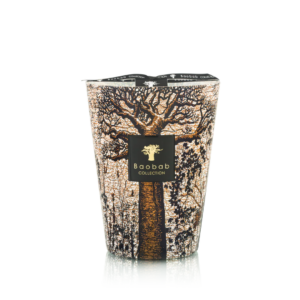 Baobab Sacred trees Morando Max 24