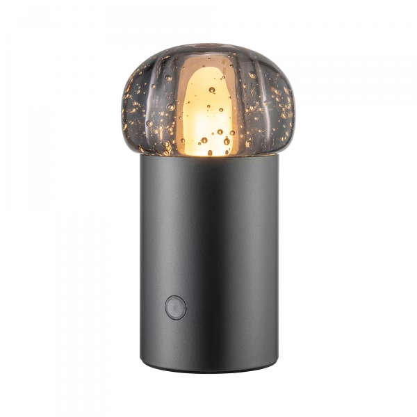 Oplaadbare lamp, Dr.Light, zoutleeuw, Sint-truiden