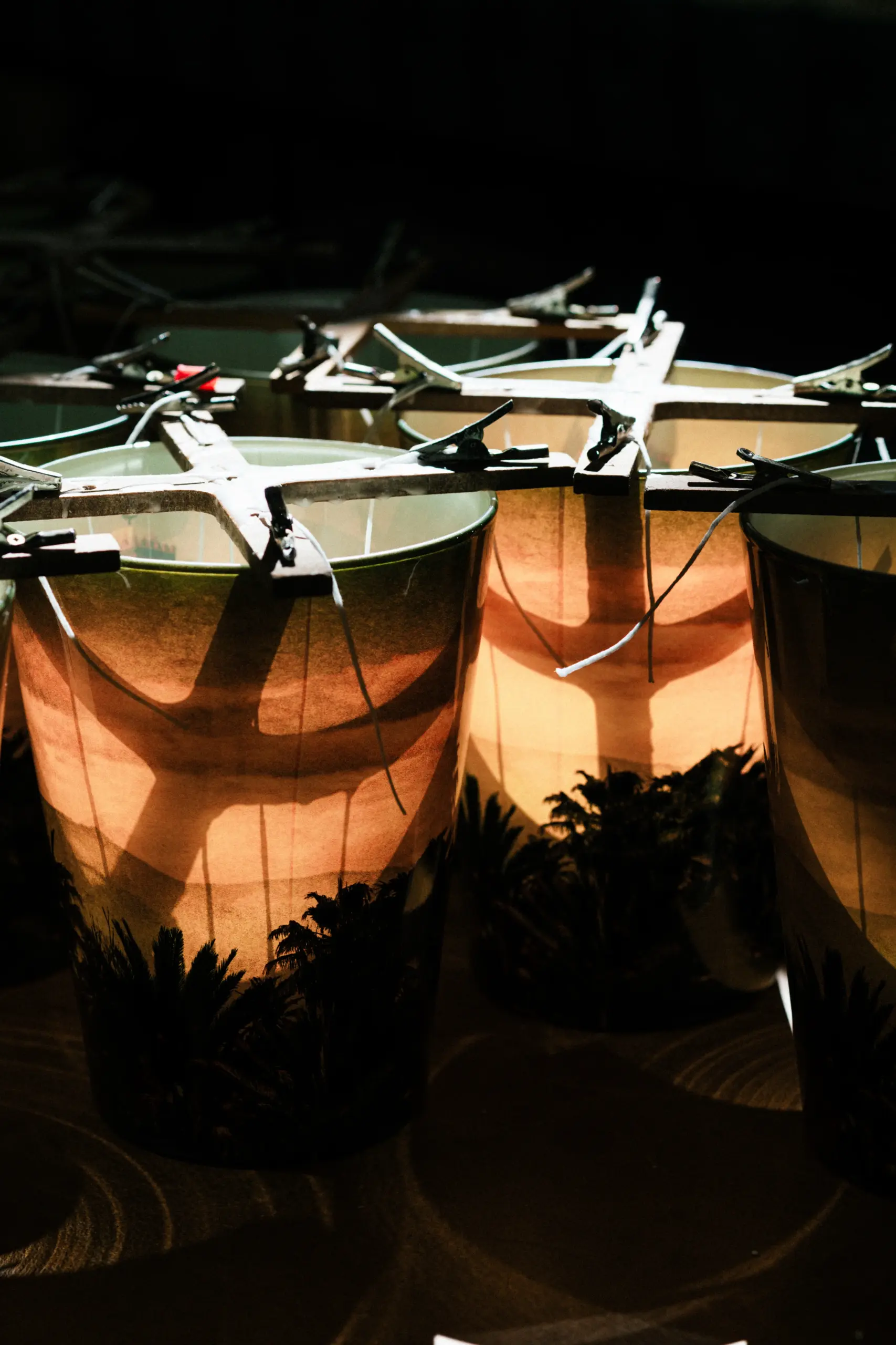 Geurkaars baobab 2024