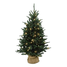 Everton 122cm + 100L